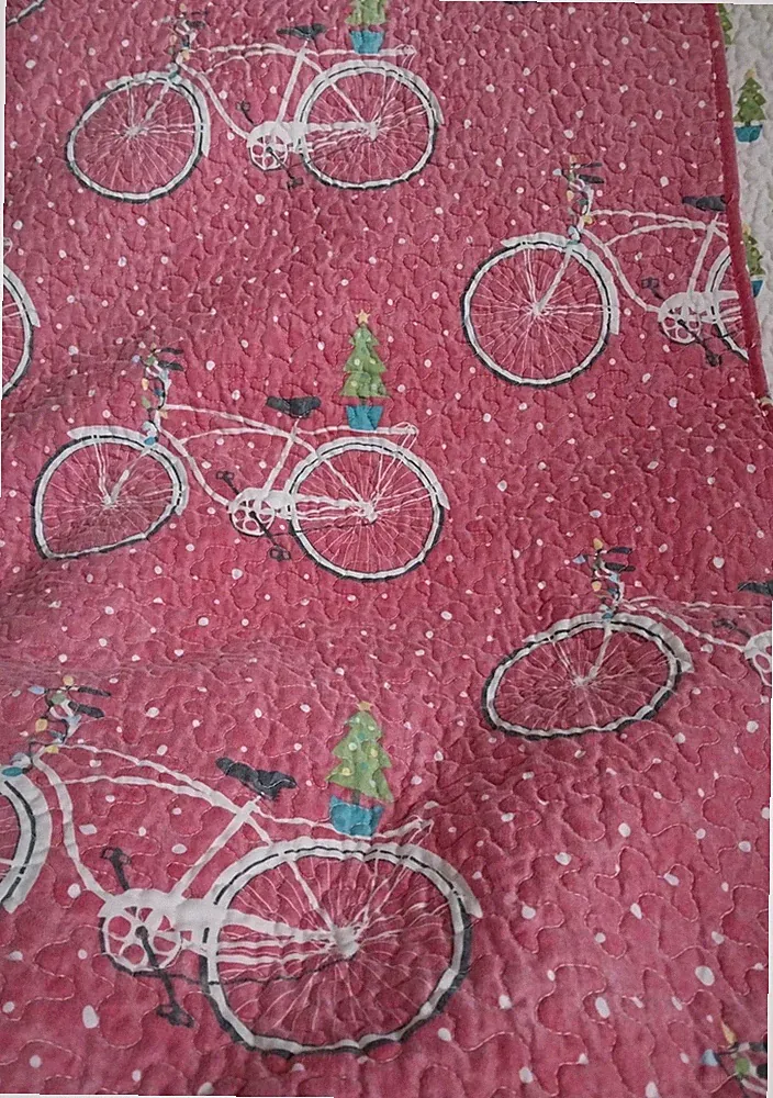 Polyester Cruiser